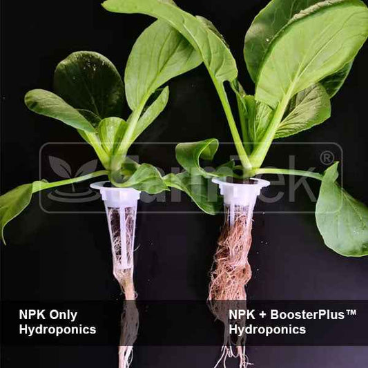 BoosterPlus™ Fulvic Acid 20Kg (makes 80,000 L / 80 Tons) Mineral Nutrient Supplement For Plants Powerful Bio-Stimulants