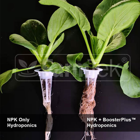 BoosterPlus™ Fulvic Acid 1KG (makes 4,000 L / 4 Tons) Mineral Nutrient Supplement For Plants Powerful Bio-Stimulants