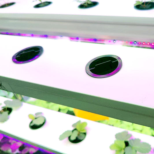 2" Hydroponic NFT Channel Hole Cover Light Blocker Cap Black (20 pcs)