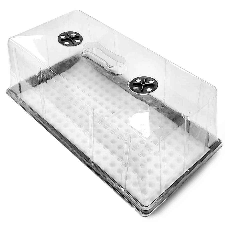 Hydroponic Sponge Cubes Cross Cut Propagation Seedling Grow Medium 25x25x25mm (100 pcs)