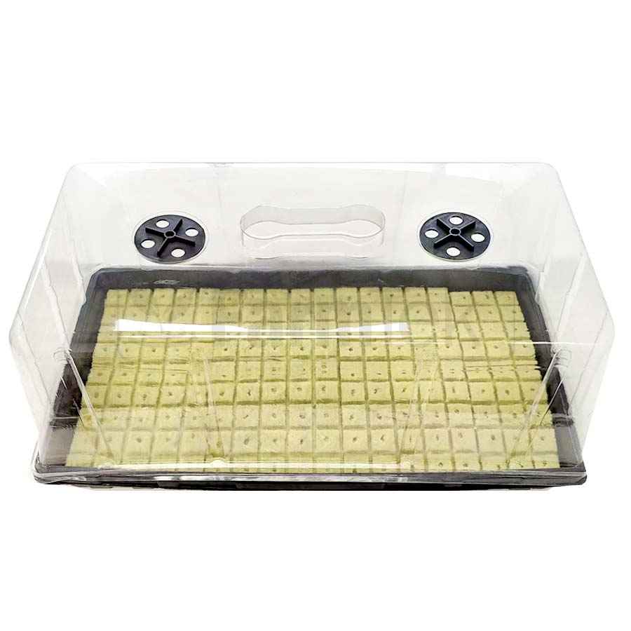 Rock Wool Cubes Plugs Hydroponics Propagation Grow Medium 25x25x40mm Top Split (100 pcs)
