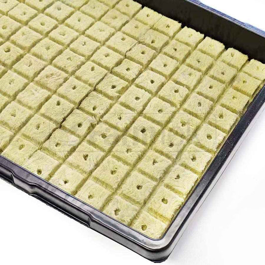 Rock Wool Cubes Plugs Hydroponics Propagation Grow Medium 25x25x40mm Top Split (100 pcs)
