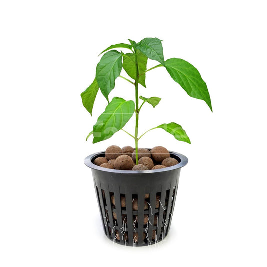 Farmtek Expanded Clay Pebbles For Plants Hydro Clay Balls 8-16mm Mix 5L Bag