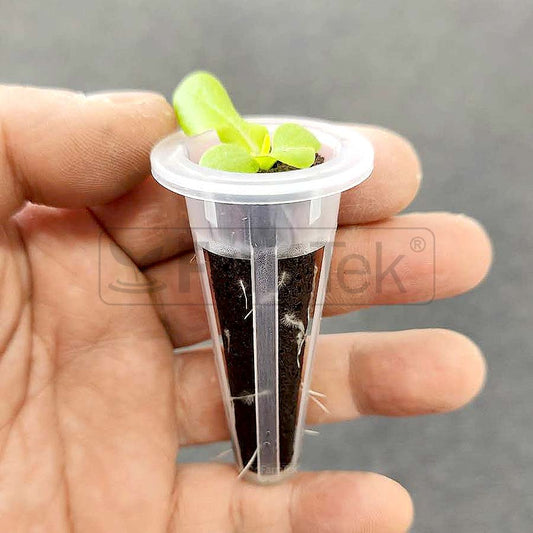 Moss Peat Sponge Plug The Best Hydroponics Grow Medium for SS120 HydroTower (Pack of 30)