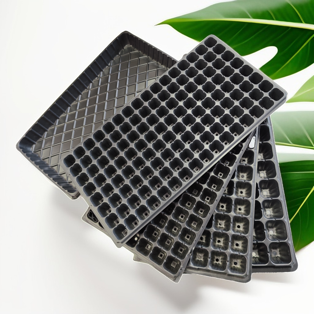 32 Cells Nursery Seedling Tray Propagation Tray (3 Trays)
