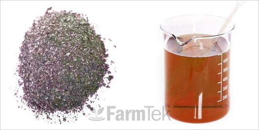 Organic Bio-Stimulants – Global Trend 2022