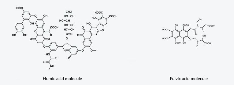 Humic Acid vs Fulvic Acid in Agriculture: Unveiling the Distinctions - Farmtek Australia