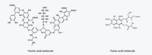 Humic Acid vs Fulvic Acid in Agriculture: Unveiling the Distinctions