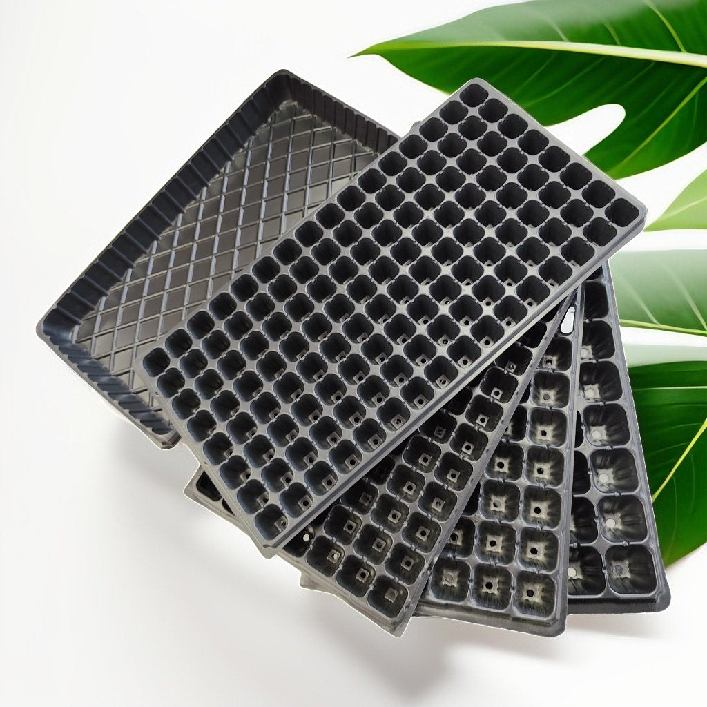 Seedling & Microgreen