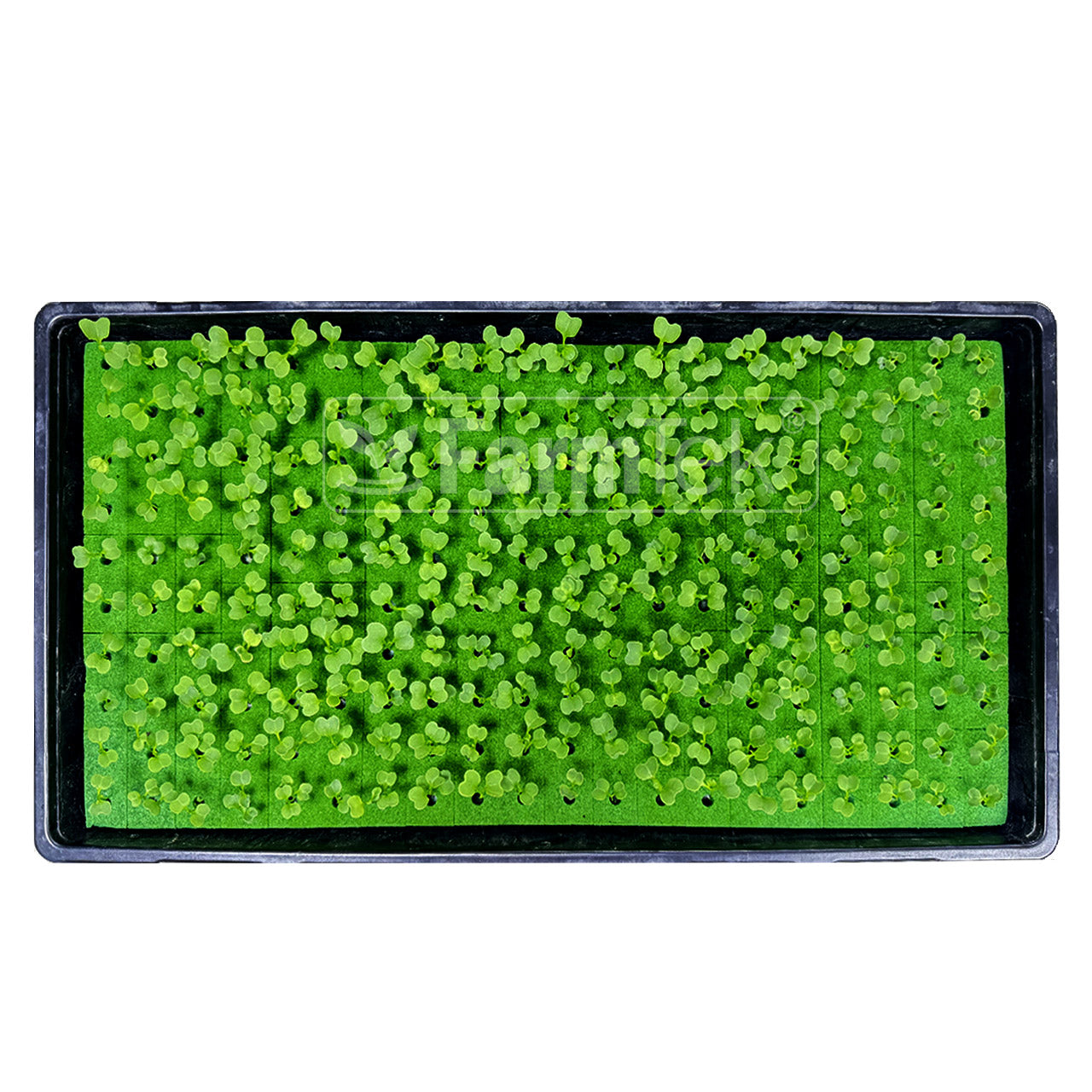 Farmtek AquaCube Seedling Plug 36x36x40mm Germination Starter Cubes (980 cubes/10 Sheets/1 Box @ $0.10/cube)