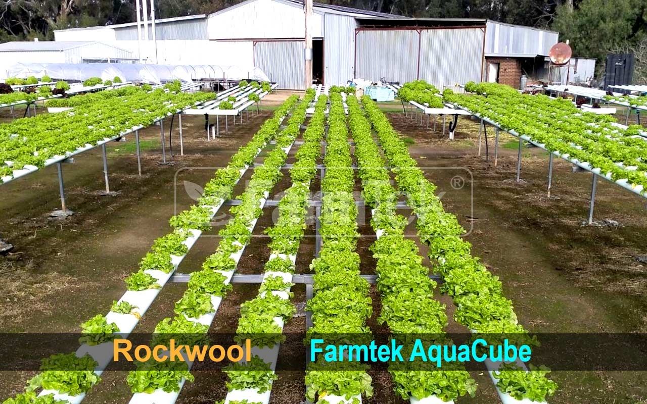 Farmtek AquaCube propagation cubes 36x36x40mm (98 cubes @ $0.2 each) Seedling Plug