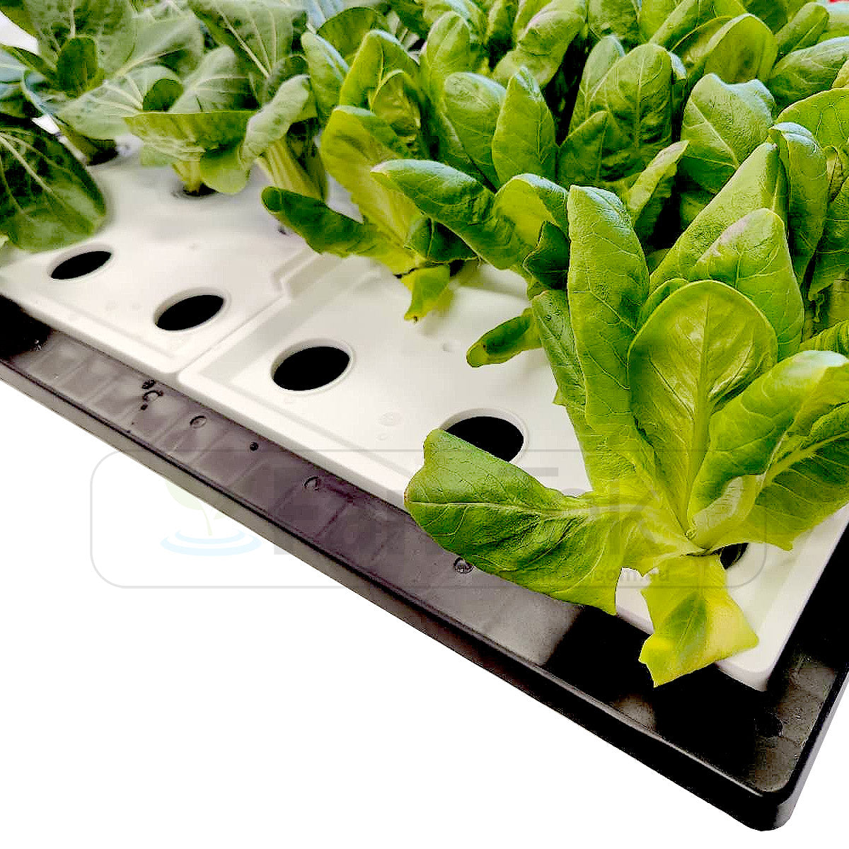 Farmtek Hydroponic DWC Tray Scalable To Multiple Trays System (DWC-24)