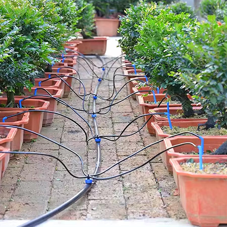 Drip Arrow 1-IN-2-OUT Drip Irrigation (5 Sets)