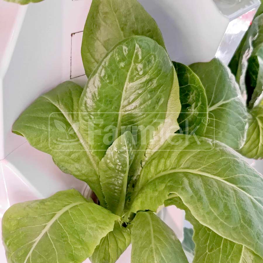 Farmtek Hydroponic Tower System Kit Vertical Farming Aeroponic Tower (HT864)