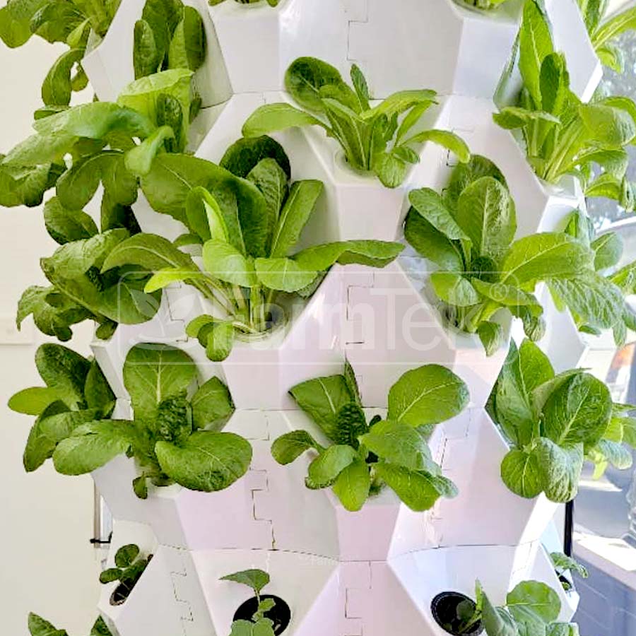 School Hydroponic Project Package - Single Tower System