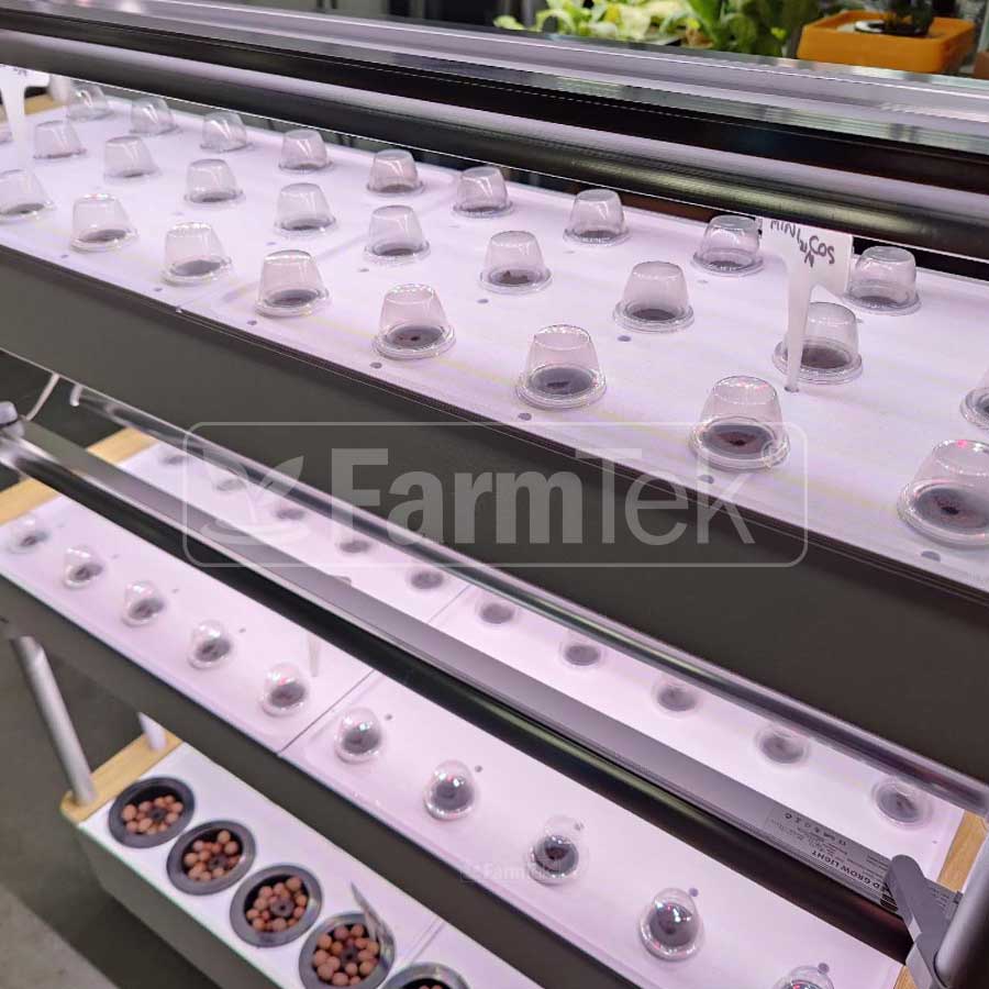 Hydroponic Grow Tower - How to grow