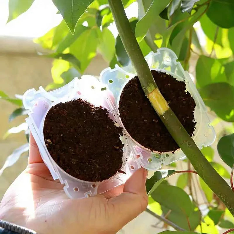 10x Tree Branch Rooting Propagation Box Cutting Grafting Rooting Box (M ...