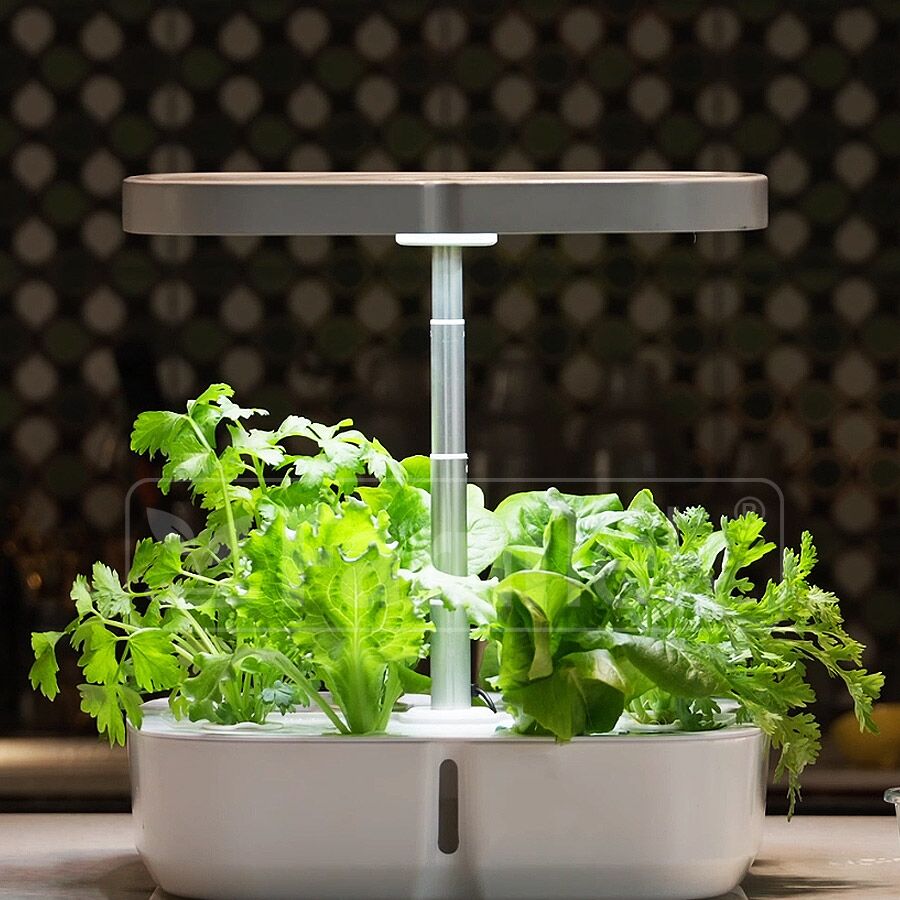 Hydroponic Kit Systems – Farmtek Australia